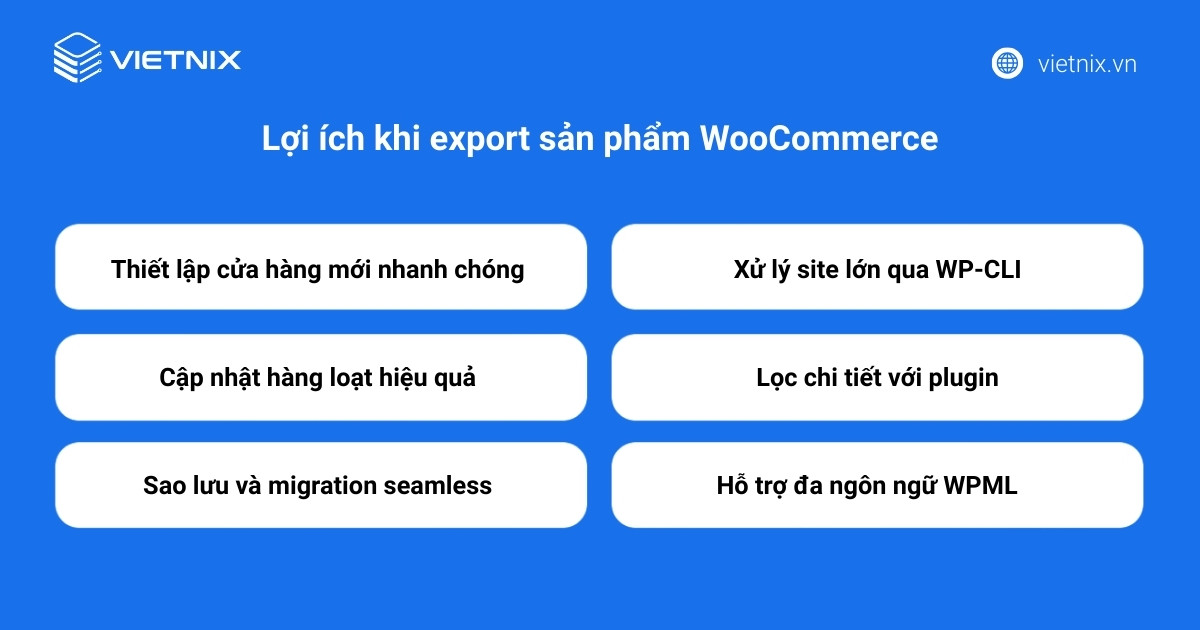 Lợi ích khi export sản phẩm WooCommerce