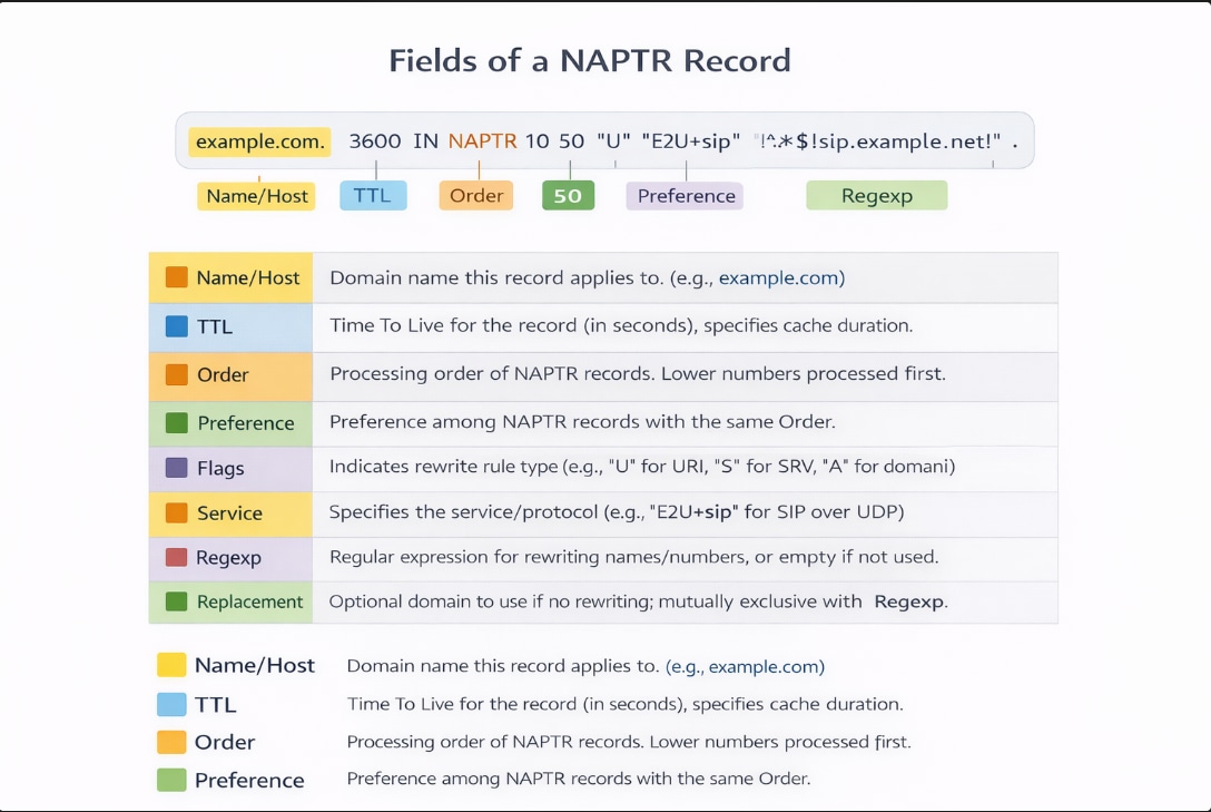 Các trường của bản ghi NAPTR