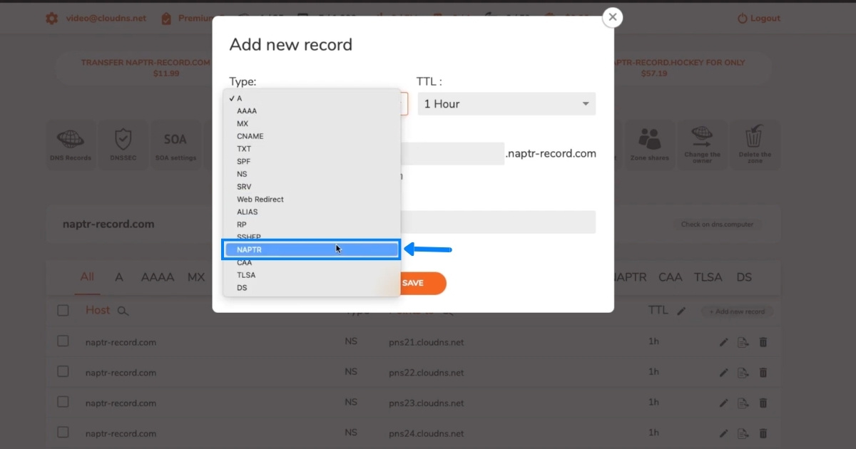 Truy cập trang quản lý DNS và chọn loại NAPTR