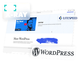 wordpress hosting