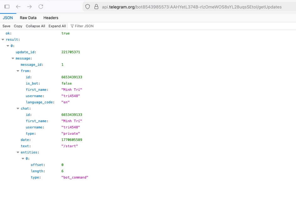 Hướng dẫn kết nối n8n Telegram credentials chi tiết dành cho người mới 30 Đoạn mã JSON được hệ thống trả về cho bạn
