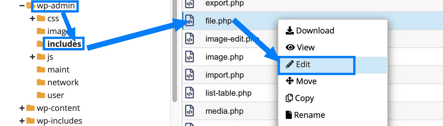 Mở file wp-admin/includes/file.php trong mã nguồn WordPress