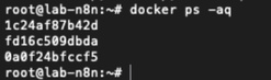 Output của lệnh docker ps -aq 