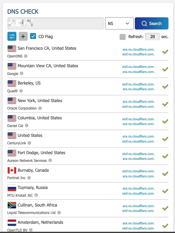 Bạn cần mở một công cụ kiểm tra DNS