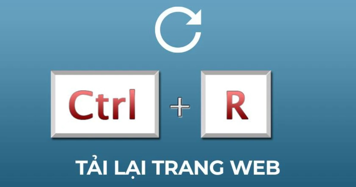 Bạn cần tải lại trang web