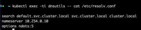 Output của kubectl exec -ti dnsutils -- cat /etc/resolv.conf