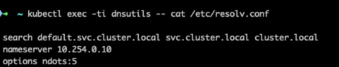 Output của kubectl exec -ti dnsutils -- cat /etc/resolv.conf