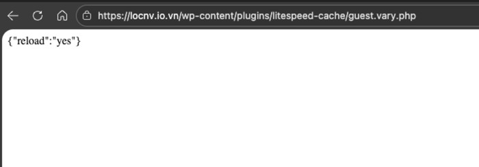 Cách khắc phục lỗi litespeed-cache/guest.vary.php 403 chi tiết 19 Cuối cùng bạn truy cập trực tiếp yourdomain.com/wp-content/plugins/litespeed-cache/guest.vary.php