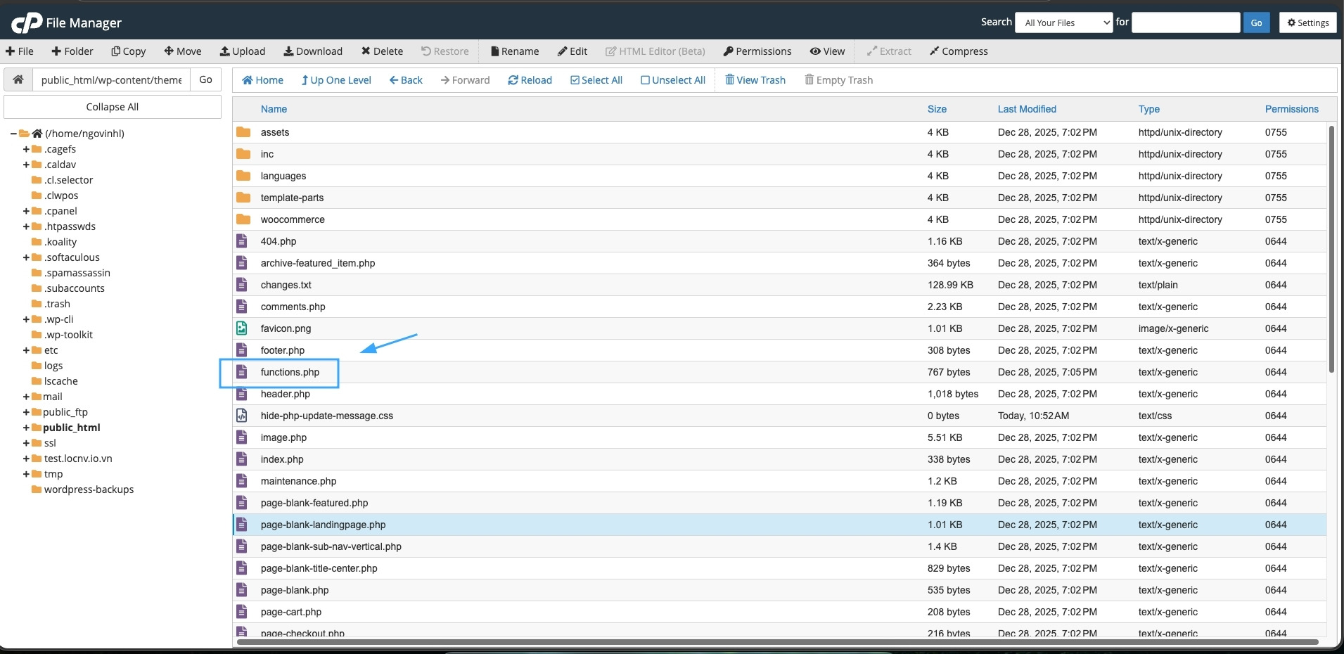 Bạn cần mở file functions.php cùng thư mục