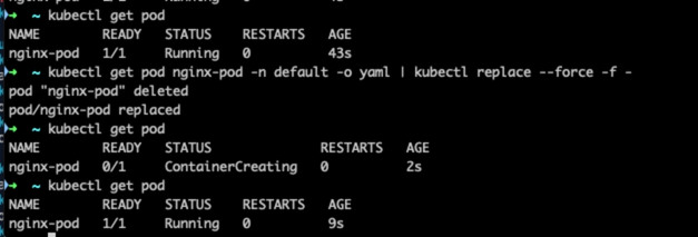 Output lệnh kubectl get pod  -n  -o yaml
