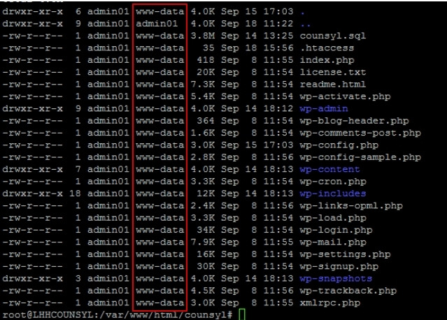 Sau đó, bạn cần chạy sudo chown -R www-data:www-data wp-content/uploads