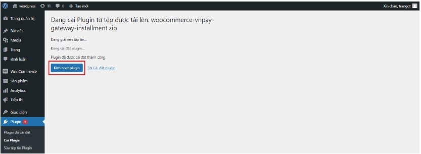Bạn cần nhấn vào Kích hoạt plugin