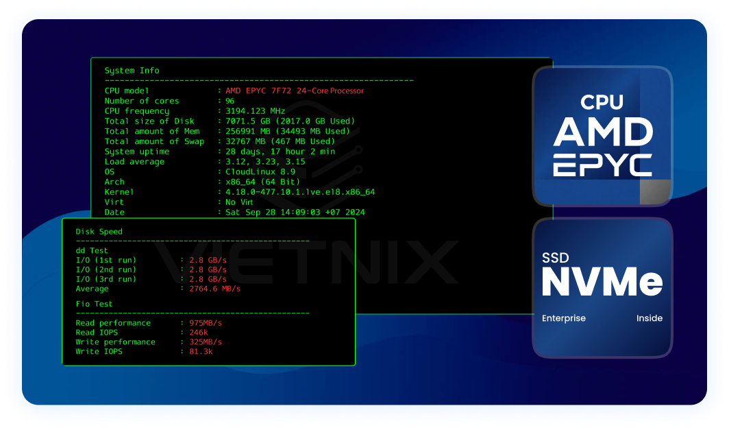 Hiệu suất Hosting AMD